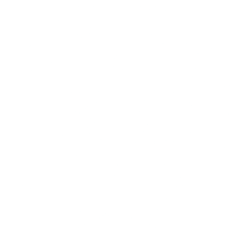 Crash the Calm Logo